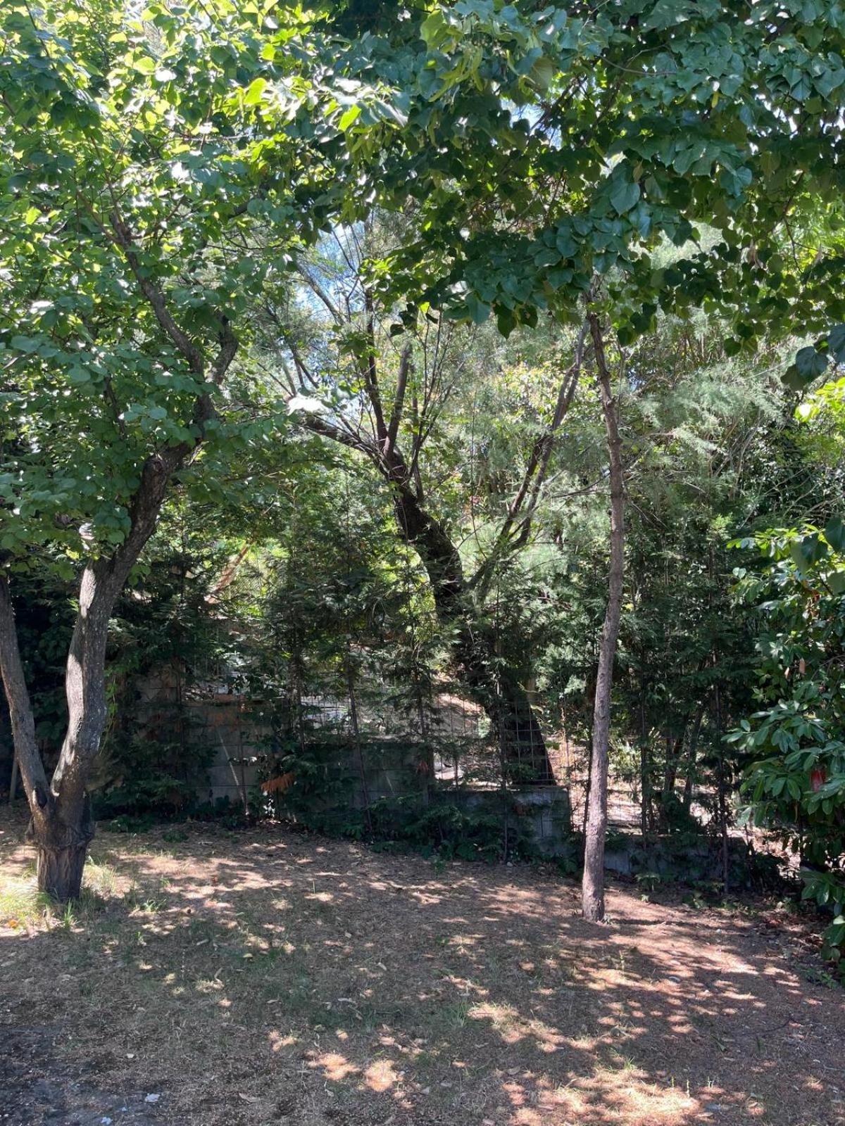 Villetta Panoramica Con Giardino A Ριτσόνε Εξωτερικό φωτογραφία